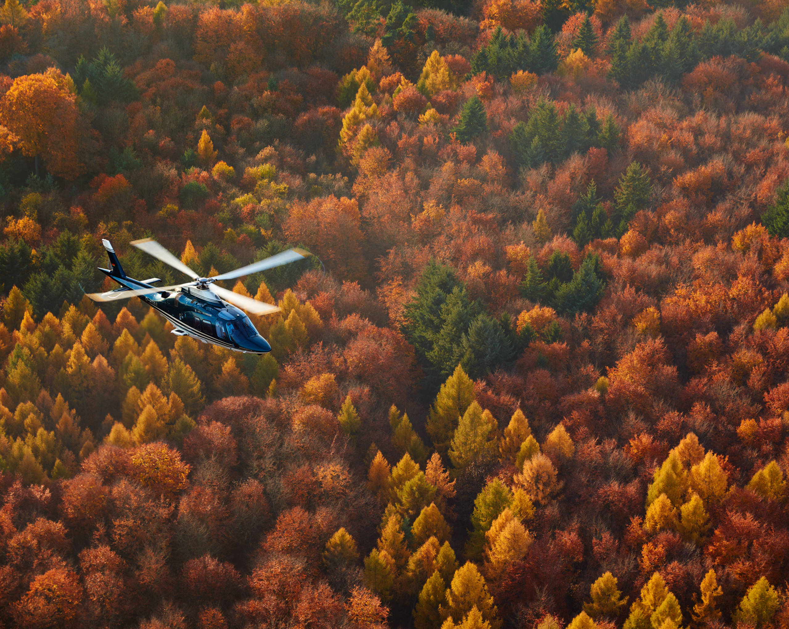 Ab in den Süden Ab in den Süden